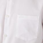 Lacoste сорочка чоловіча стандартного крою